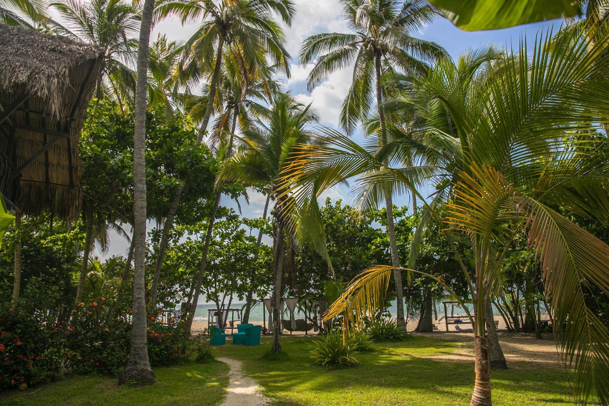 Sublime Ecohotel - Tayrona Palomino Exterior photo